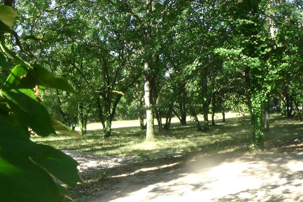 coté parc