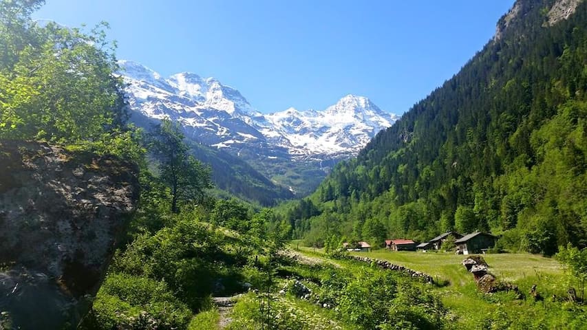 1. Charming Farmhouse in Nature