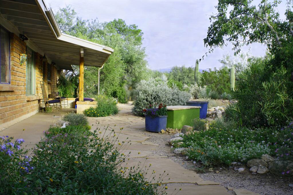Front yard entry to property