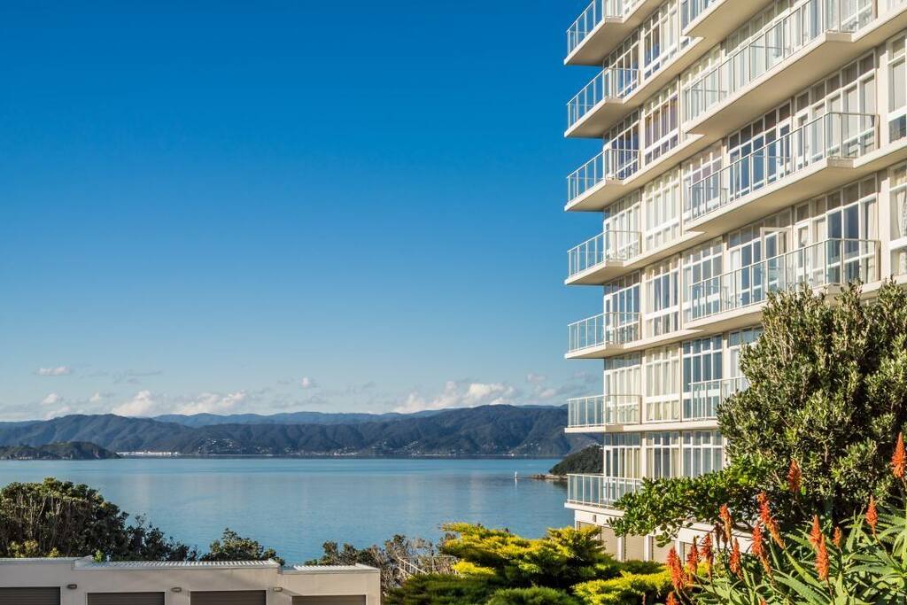 Harbour view