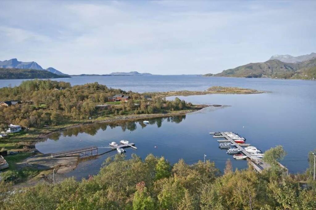 Utsikt over område