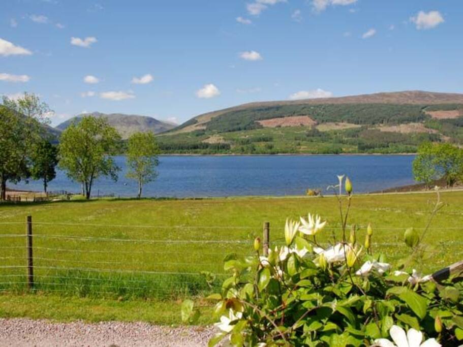 View from cottage