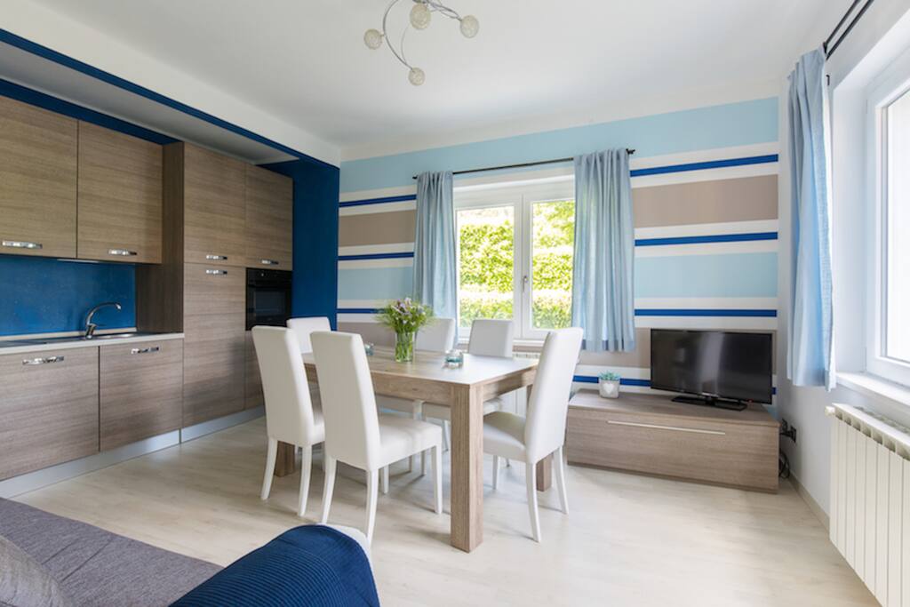 Bright living room with sofa bed and kitchinette