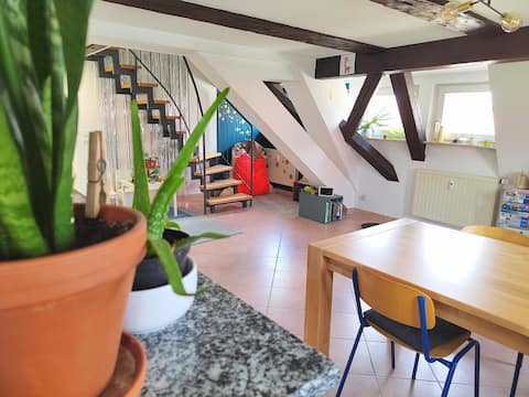 Central duplex apartment