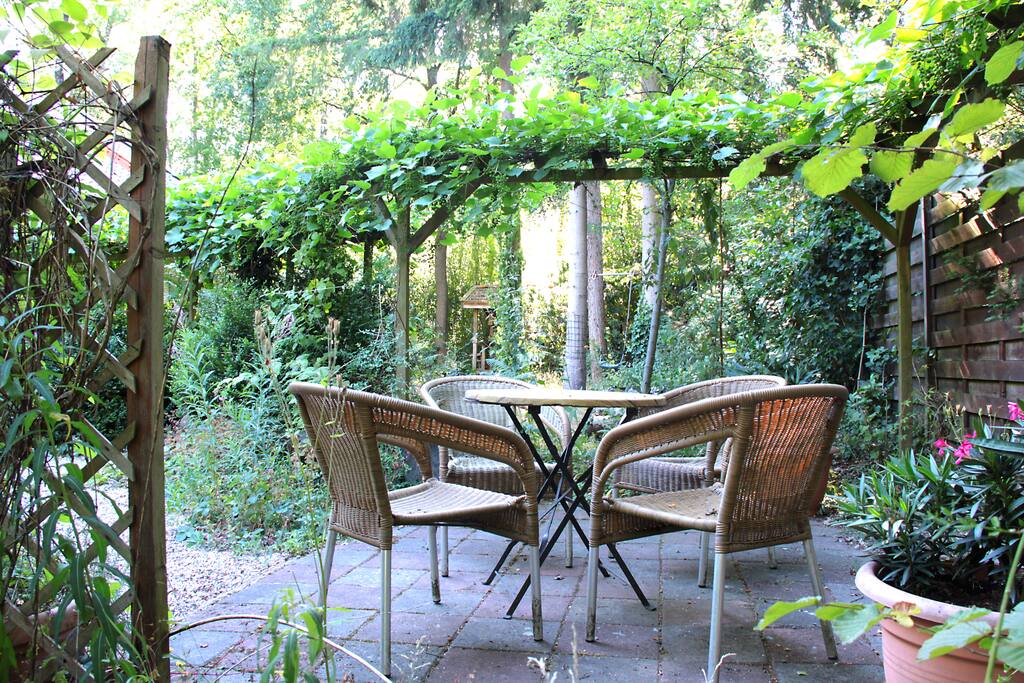 …genieten van de zon tussen de druiven & fruitbomen...