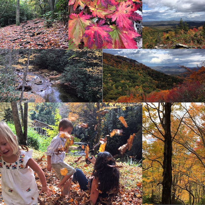 F AL L is a time for family and friends coming together. At my Airbnb retreats we encourage playing in the leaves!!!