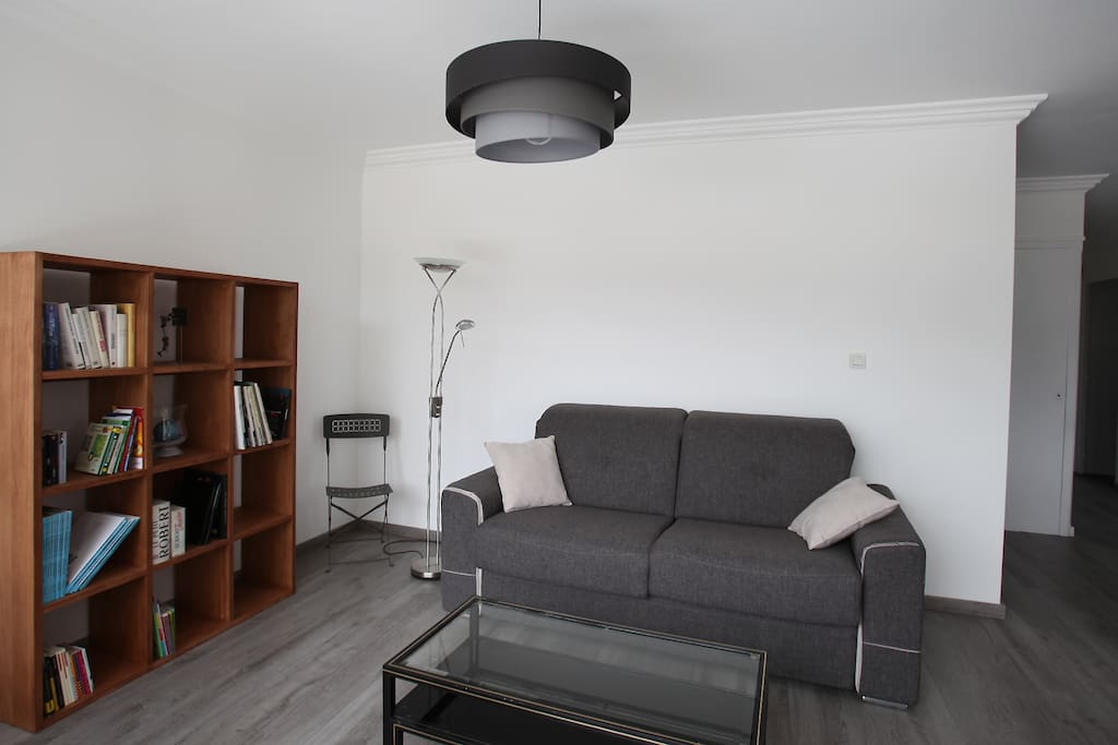 Le salon et son couchage 2 personnes
