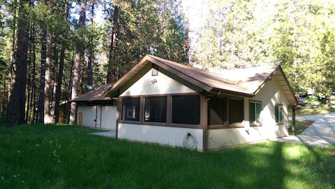 The Ladybug-Home Base for Your Yosemite Adventure!