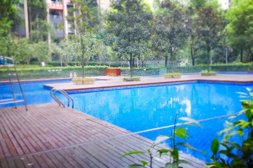 游泳池 swimming pool