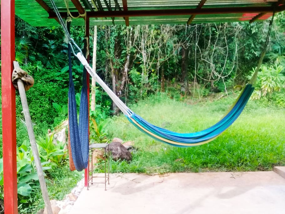 Relax and watch the monkeys, birds and iguanas.