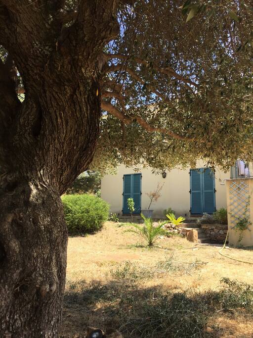 Jardin arboré de 1200 m2 - vue sur les 2 chambres du RDC.