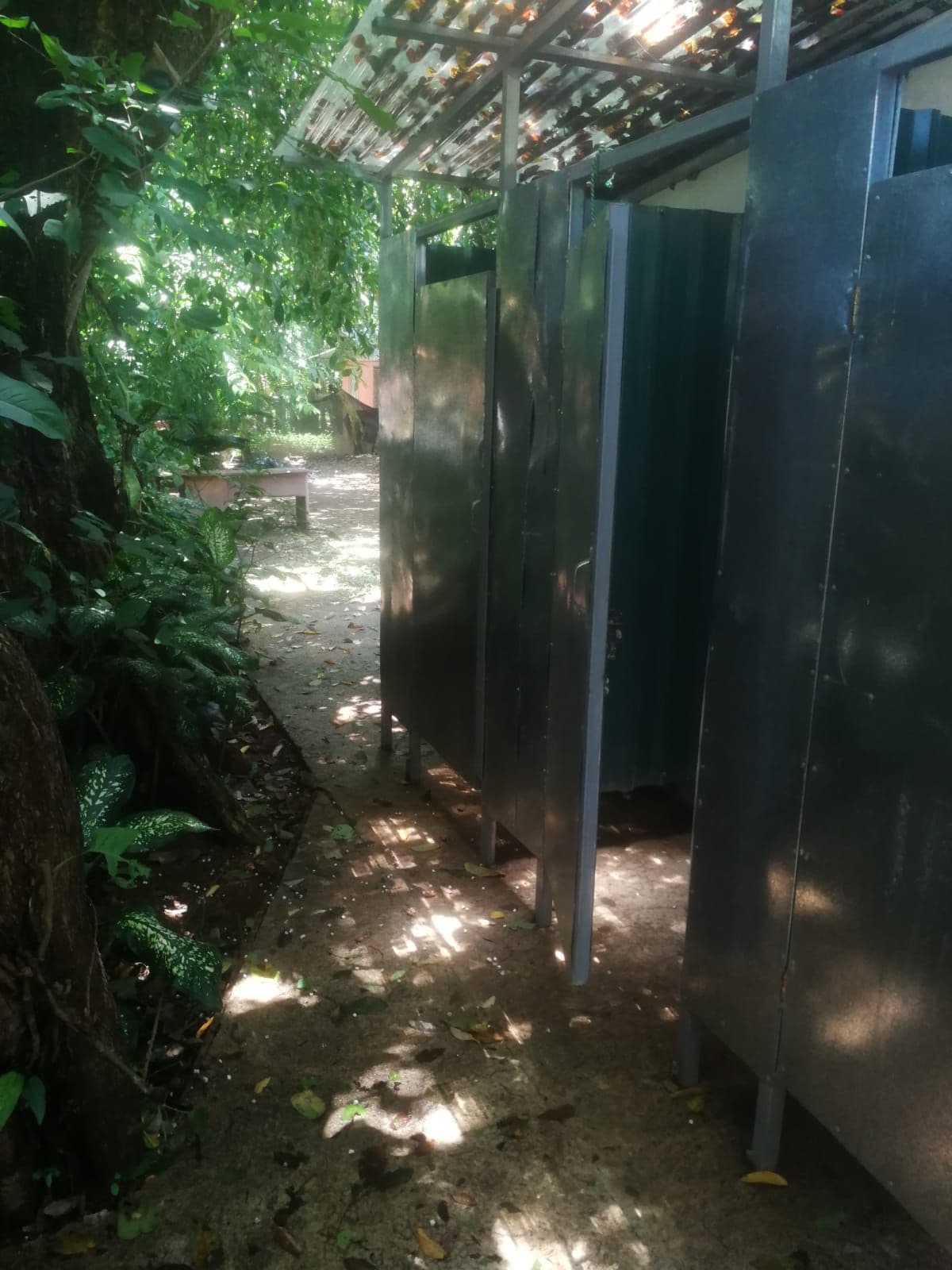 A clean outdoor restroom area is nestled among lush greenery. Individual stalls are seen in muted colors, providing privacy. A pathway lined with fallen leaves leads to the facility, surrounded by tall plants and a shaded canopy that creates a natural environment.