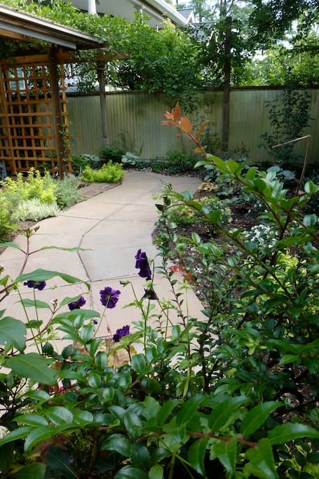 Some of our garden