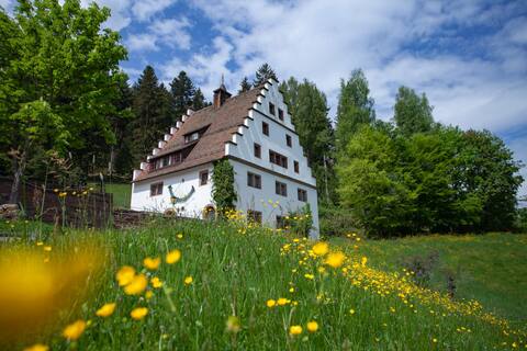 Magnificent manor house Hofgut Bärenschlössle 2 - 3500 m2 of land - BBQ, WiFi, historic, top equippe