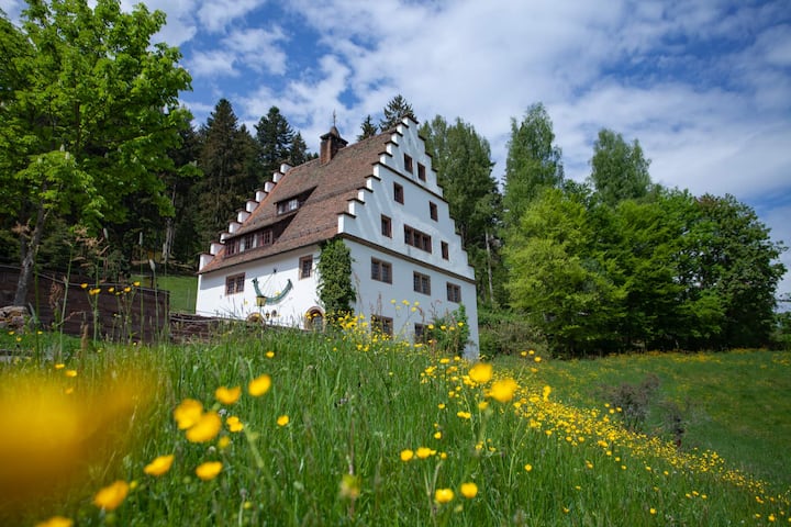 Manor estate Bärenschlössle 2 with 6 bedrooms