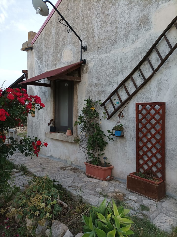 Beautiful detached villa surrounded by greenery