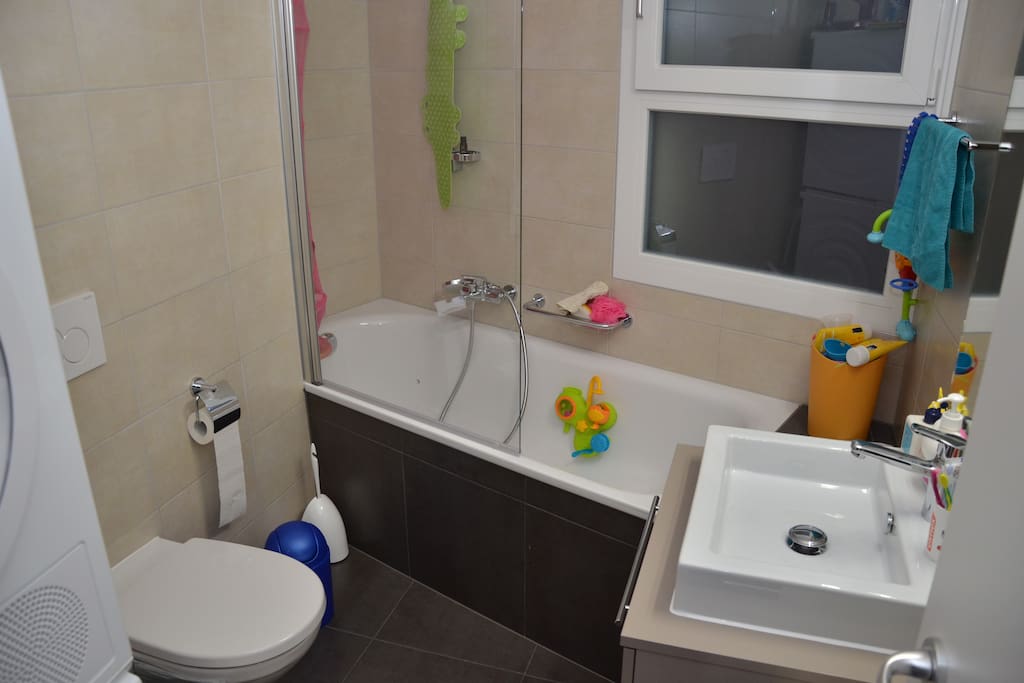 salle de bain, wc