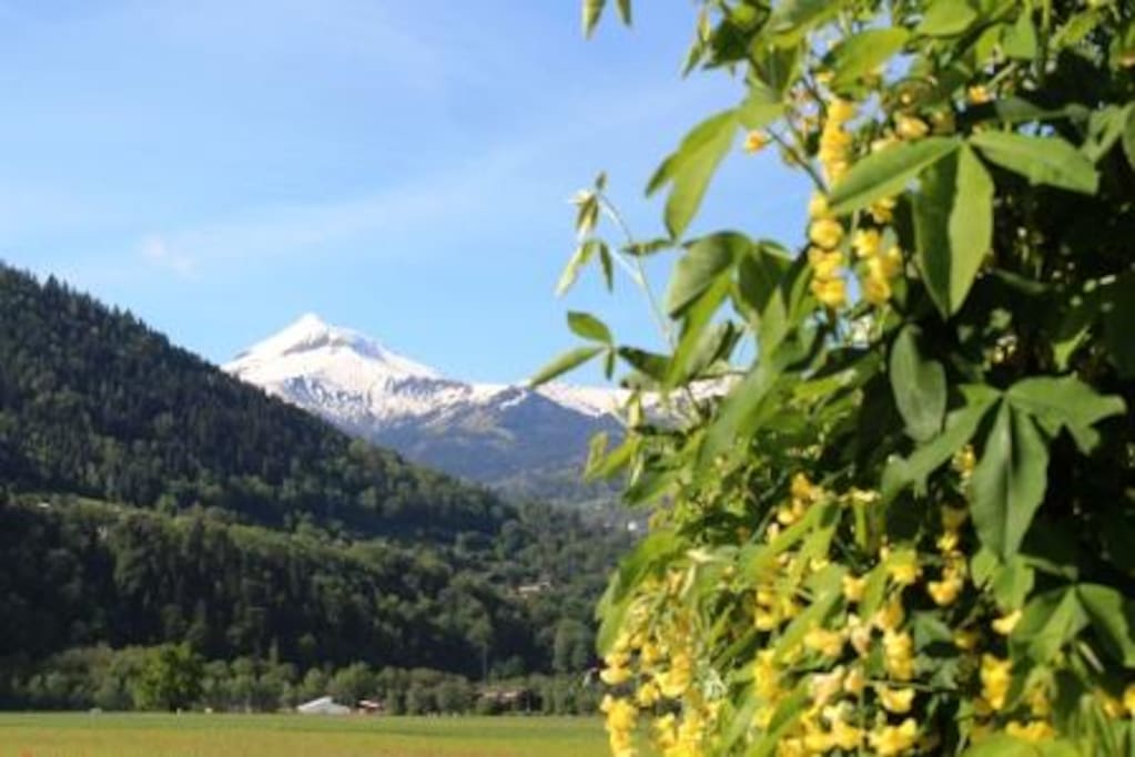 vue sur le mont joly