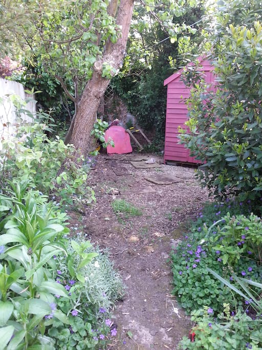 Part of the back garden