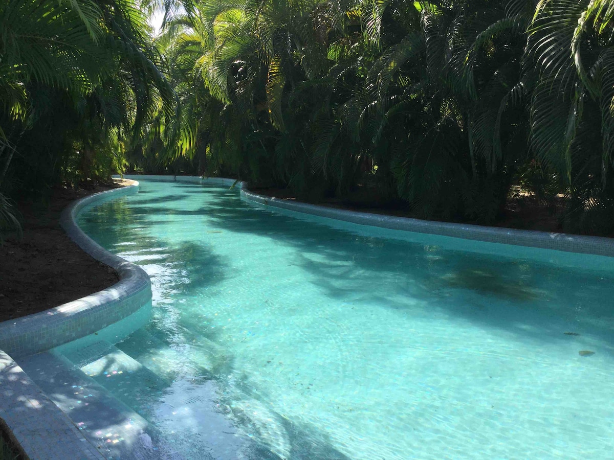 A meandering pool is surrounded by lush greenery, featuring clear turquoise water that invites relaxation. Sunlight filters through the foliage, creating a peaceful ambiance. The smooth edges of the pool blend seamlessly with the natural landscape.
