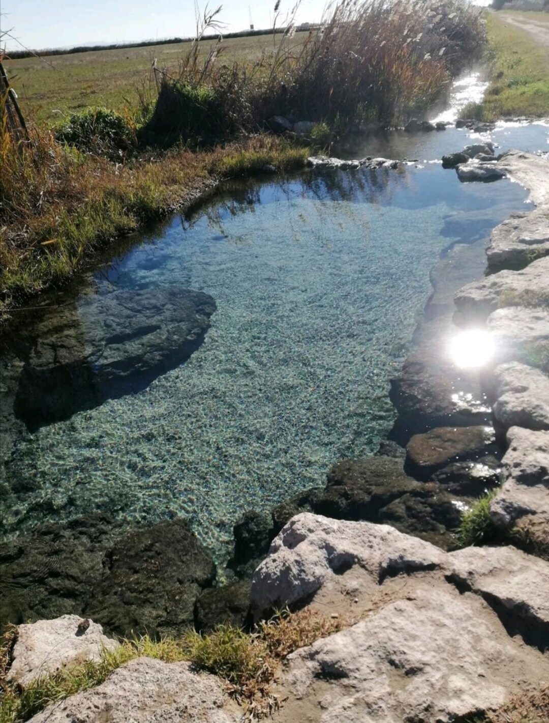 A serene natural spring is depicted, featuring clear blue water that reflects sunlight. Smooth stones outline the spring, and lush grasses border the area, contributing to a calming environment. The landscape shows an unobstructed view of the open fields in the background.