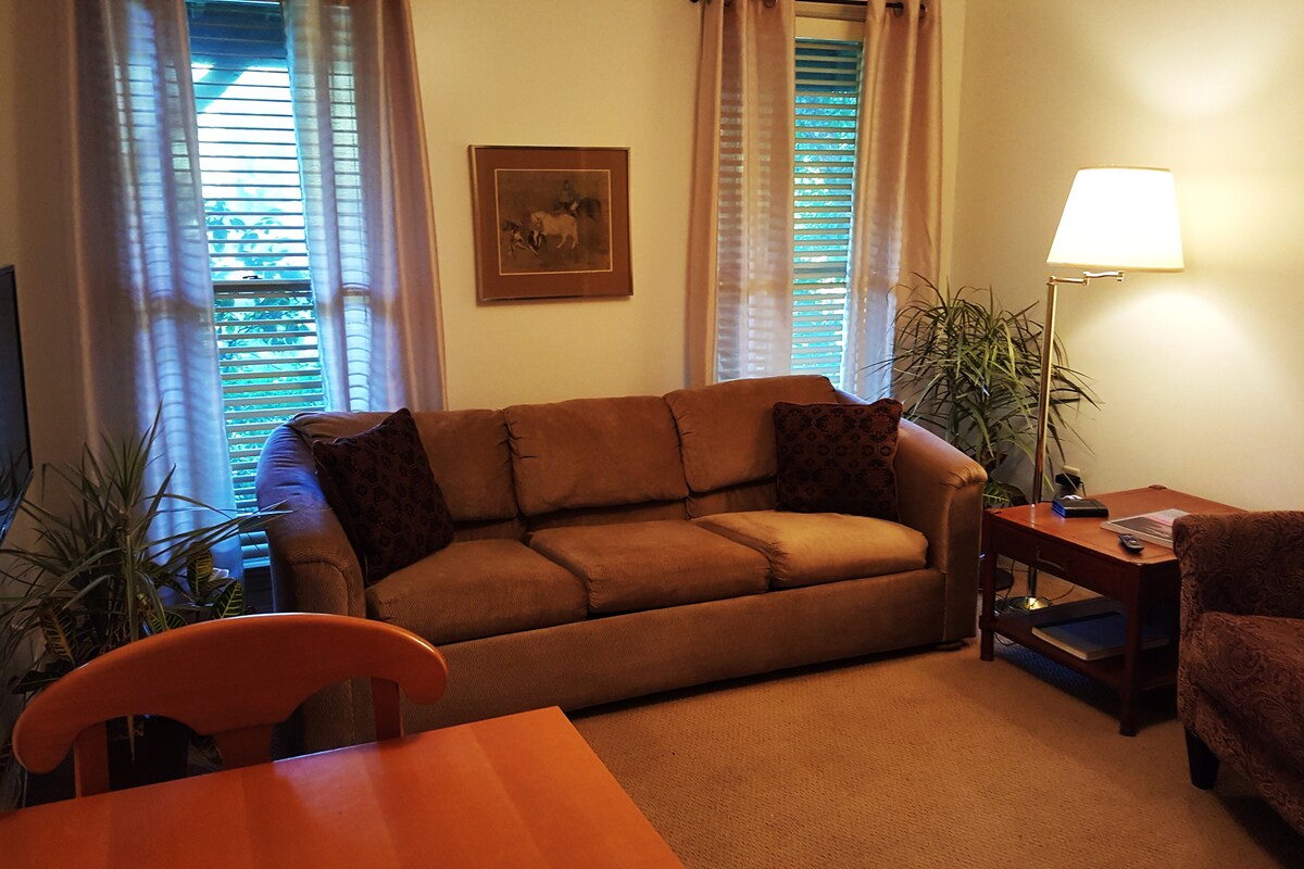 הסלון כולל טלוויזיה חכמה התלויה על הקיר.