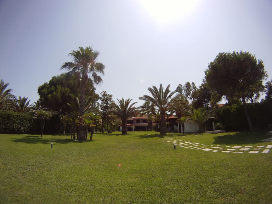 Another garden view
