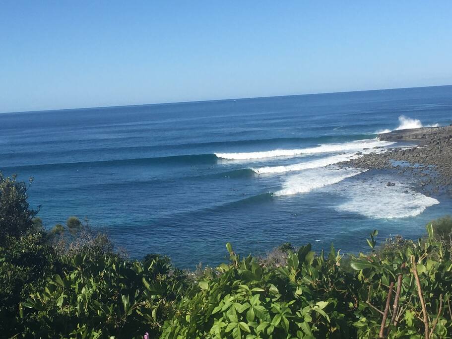 Angourie Point