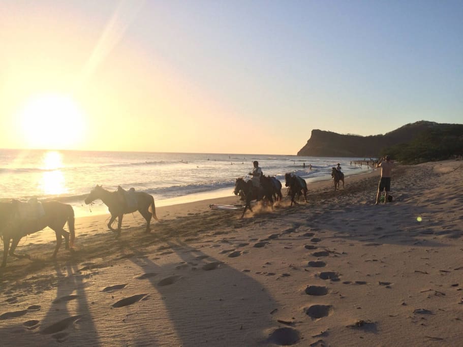 Horseback riding on the beach