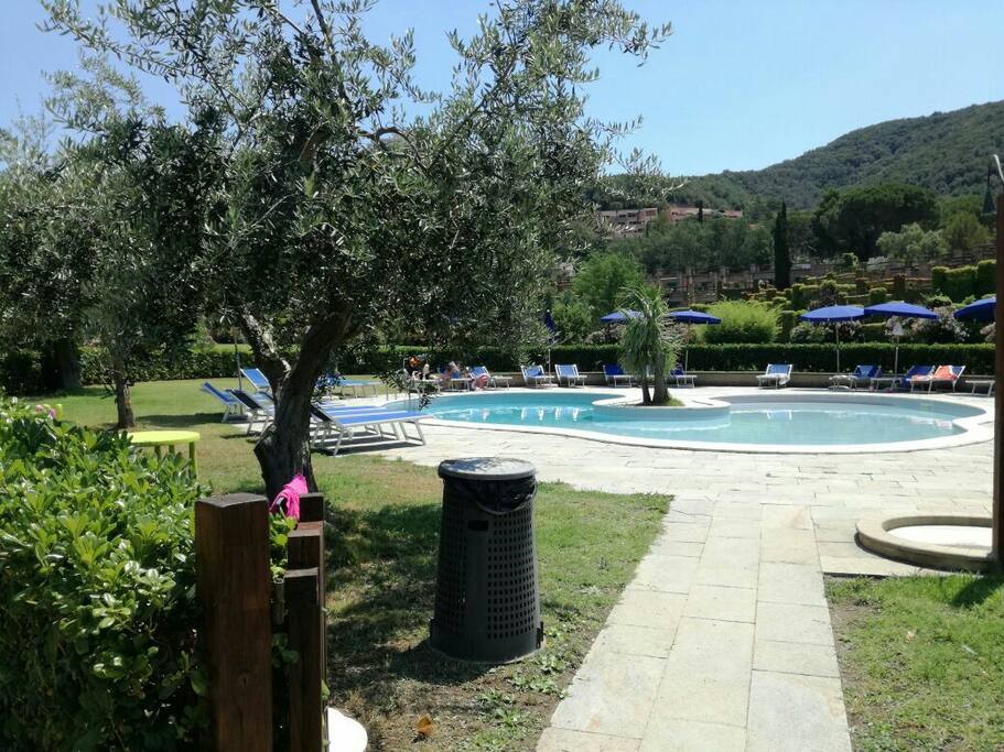 e la piscina per i futuri nuotatori!