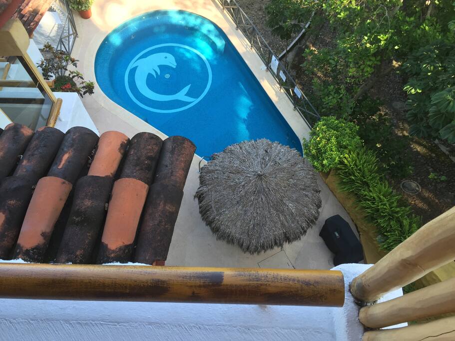 Communal swimming pool with loungers, palapa table & seating, BBQ