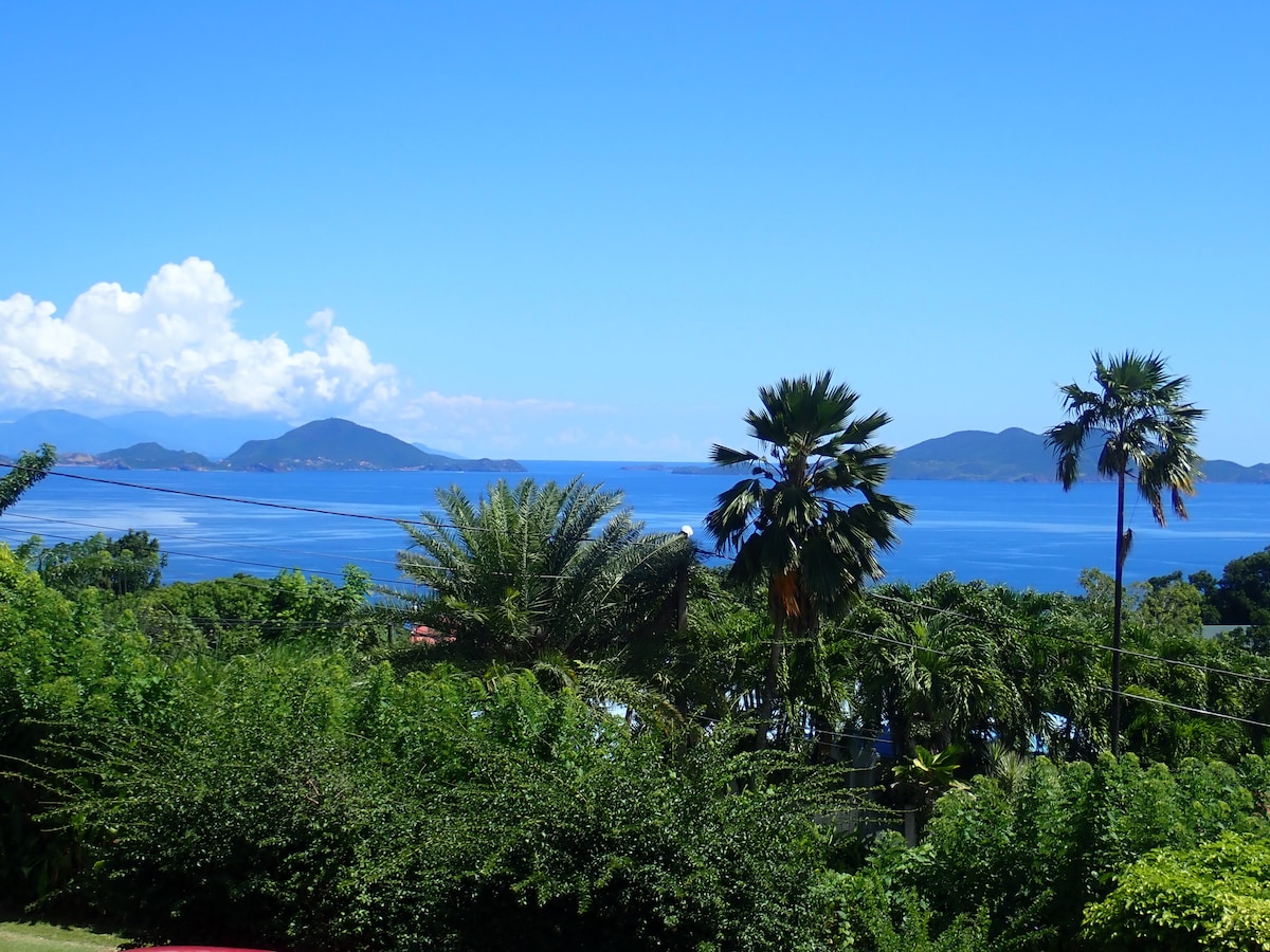 A scenic view overlooks the vibrant greenery of the garden, with tall palm trees framing the image. The calm blue sea and distant islands are visible under a clear blue sky, offering a serene backdrop to the natural surroundings.