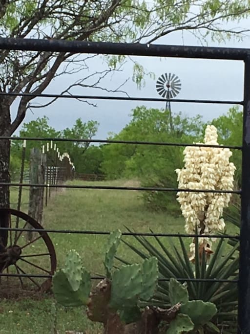 Windmill as seen from entrance