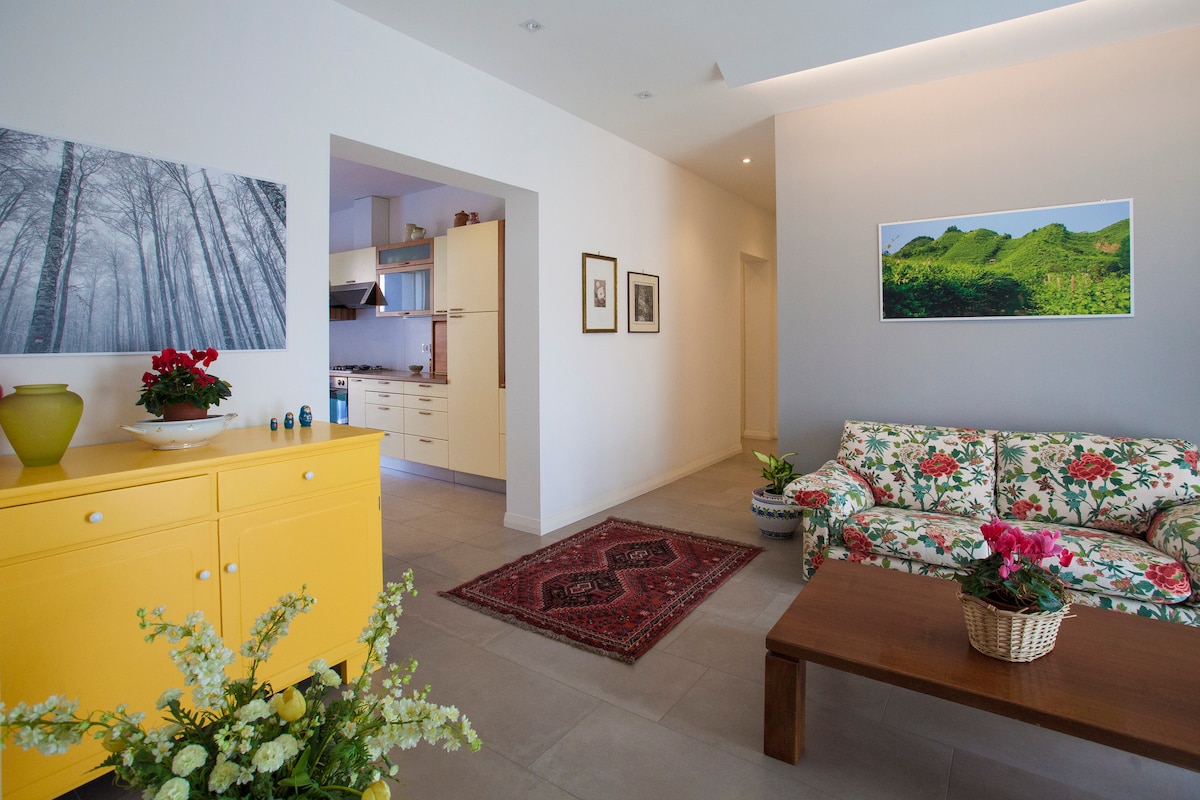 Proprietà Airbnb di successo: New apartment in the centre of Vittorio Veneto a Treviso