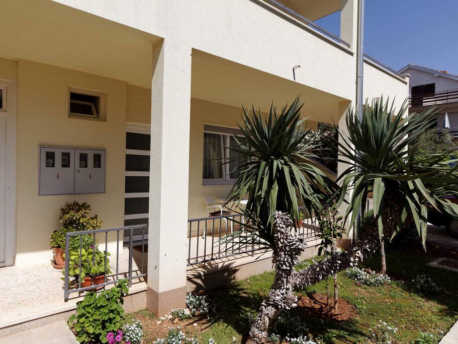 Front garden