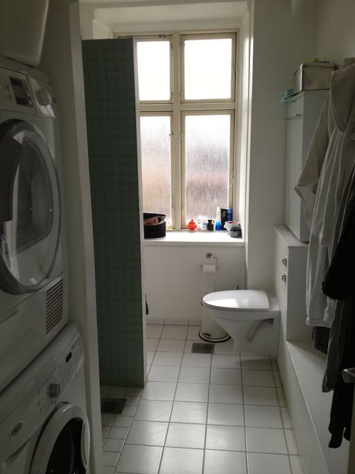 New bathroom w. shower, washer and dryer.