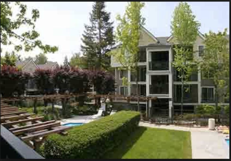 The Courtyard.