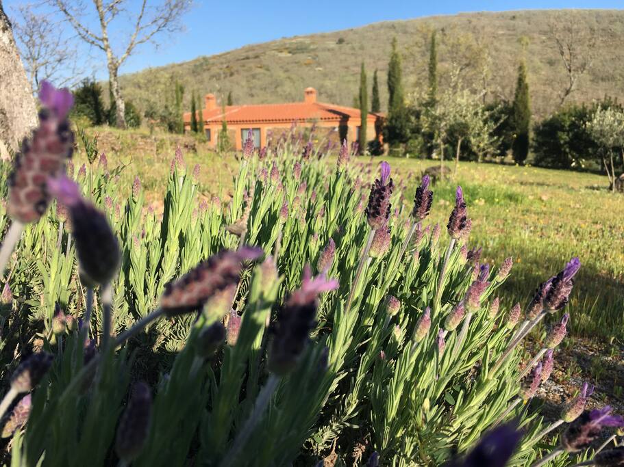 La quietud de la naturaleza