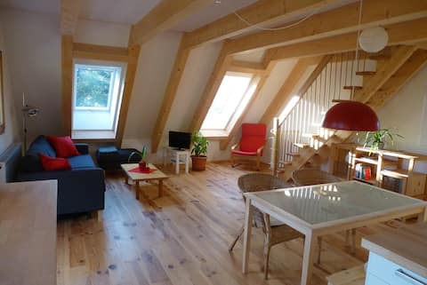 Successful Airbnb property: Cozy apartment at the heart of the Black Forest! in Schluchsee