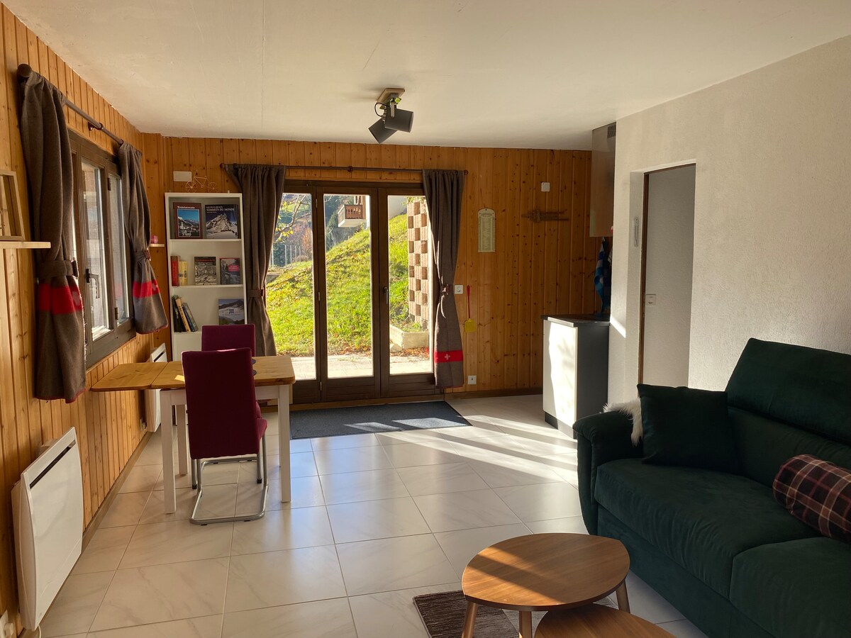 Successful Airbnb property: Charming Studio with mountain view in Troistorrents