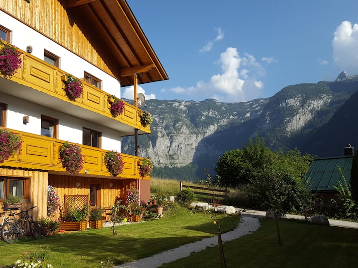 Haus Salzkammergut B&B in Obertraun