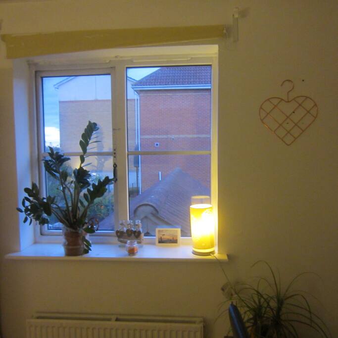 South facing window