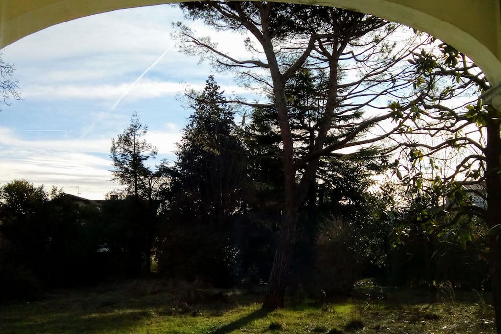 vista del giardino dal patio