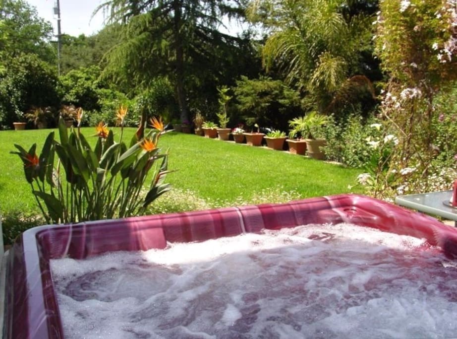 Jacuzzi and lawn garden area