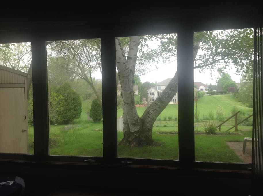 view from living window