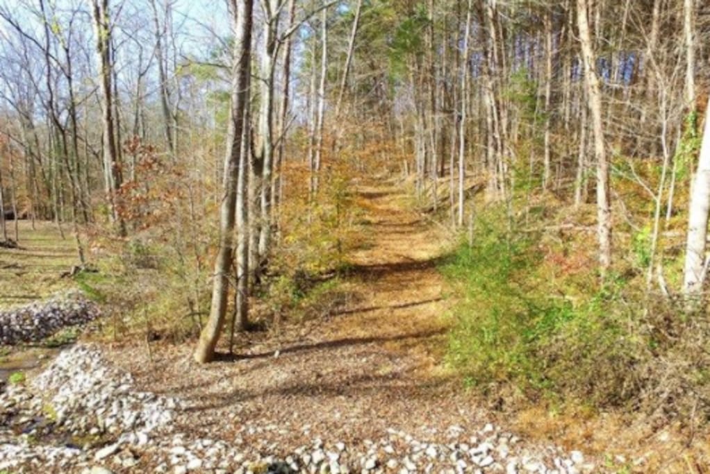 13 beautiful acres to hike and enjoy