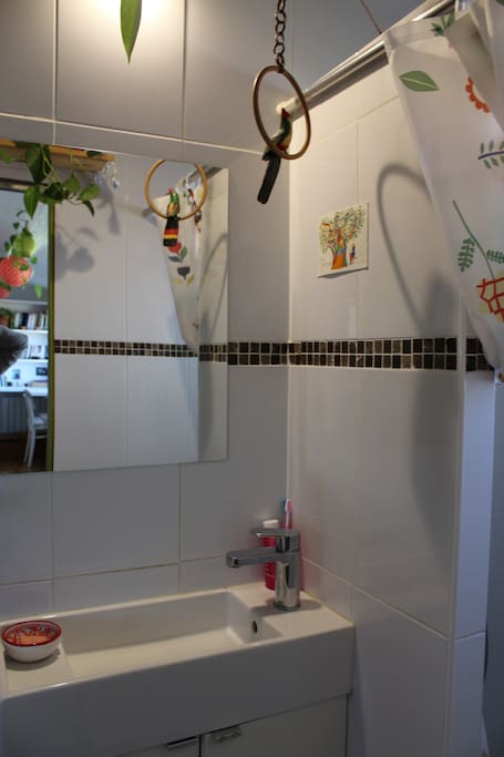 Salle de bain, la fenêtre de la douche donne sur la terrasse
