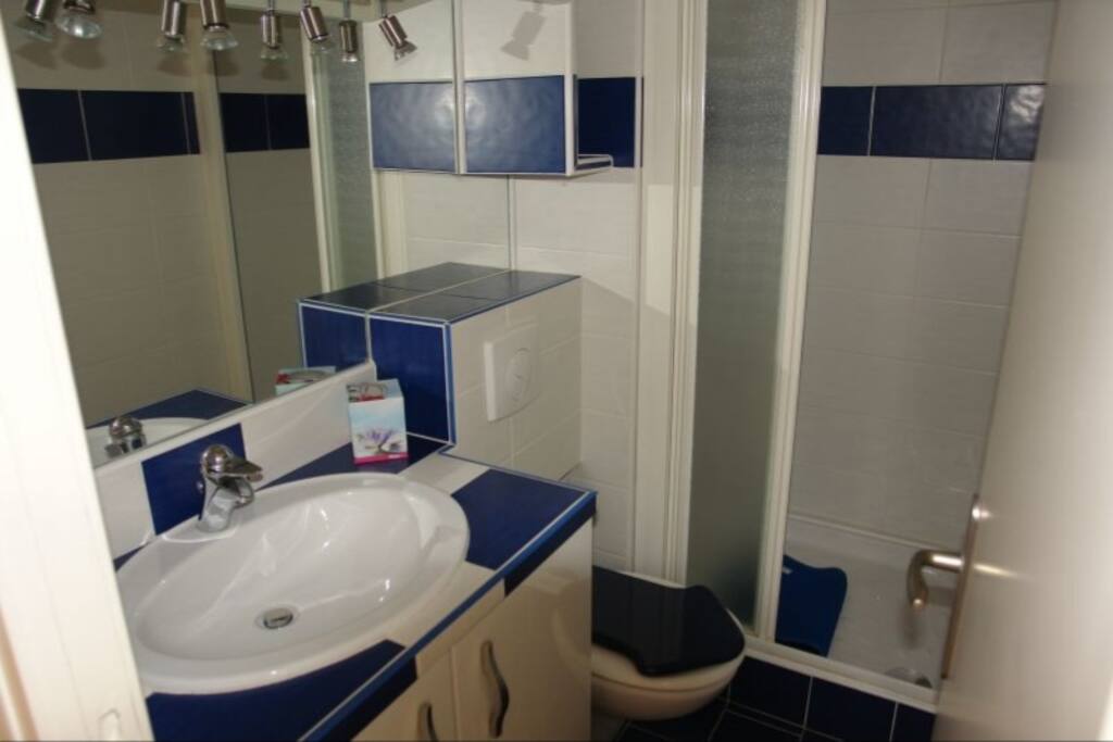 Salle de douche - WC - lavabo