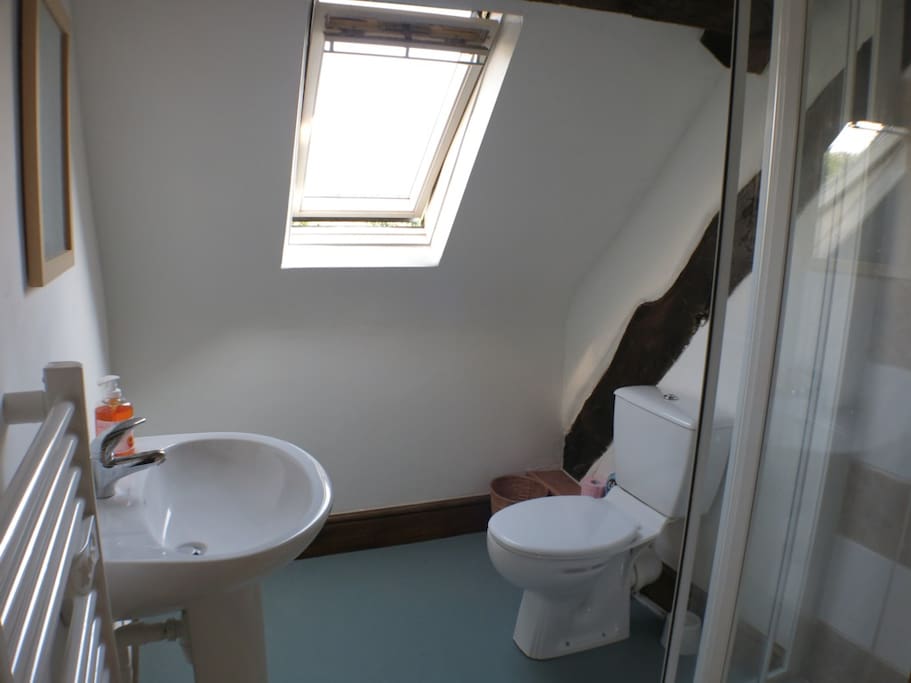 BATHROOM OF THE OLIVES