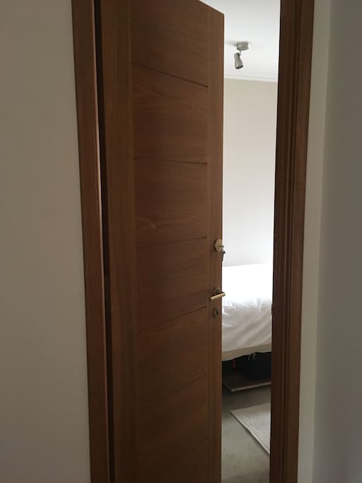 Door with lock